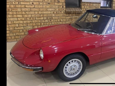 1973 Alfa Romeo Spider Kammtail For Sale