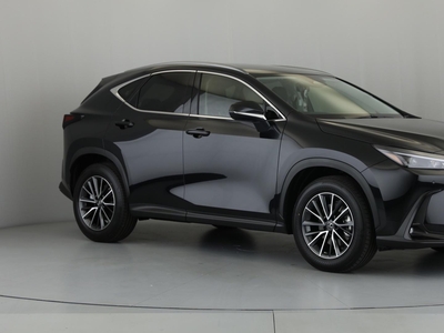 2024 Lexus NX 250 EX For Sale