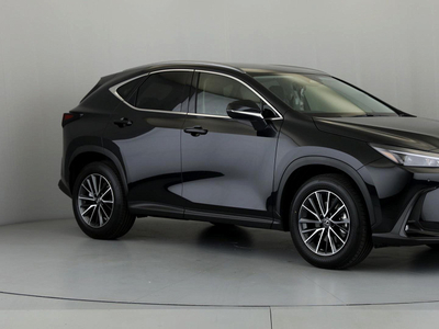 2024 Lexus Nx 250 Ex for sale