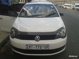 Polo vivo in a perfect condition