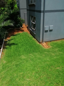 1 Bed Apartment/Flat For Rent Melville Johannesburg