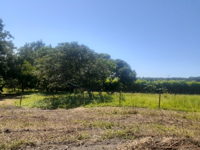Farm For Sale in TONGAAT