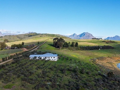 Farm For Sale in Stellenbosch Farms