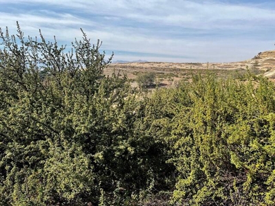 Lot For Sale In Clarens, Free State