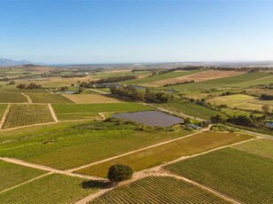 92 ha Farm in Stellenbosch Agricultural