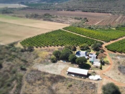 Farm For Sale In Ohrigstad, Limpopo