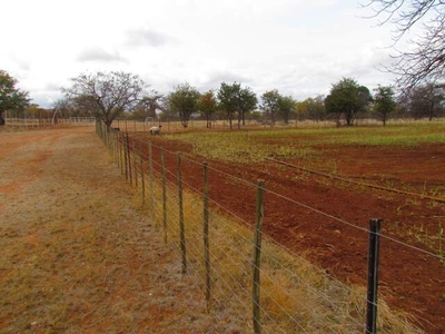 Farm For Sale In Musina, Limpopo
