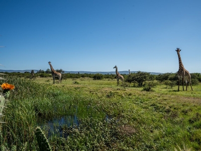 21,446m² Vacant Land For Sale in Bathurst