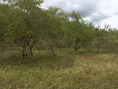 Vacant Land sold in Marloth Park