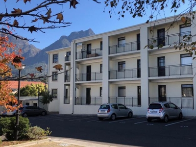 1 Bedroom bachelor apartment to rent in Rondebosch, Cape Town
