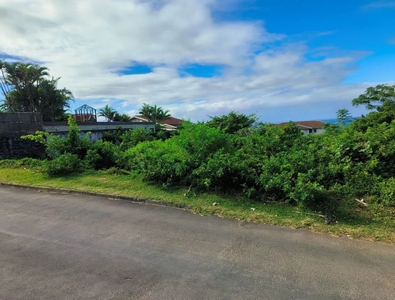 1,858m² Vacant Land For Sale in Manaba Beach