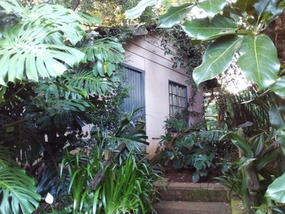 House For Rent In Town Bush Valley, Pietermaritzburg
