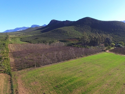 Farm For Sale in Robertson Rural
