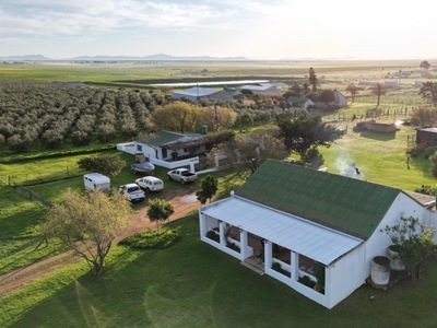 Smallholding For Sale in Darling