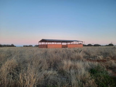 Bloemfontein Free State N/A