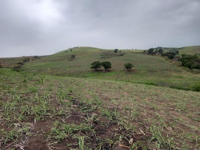 Farm For Sale In Stanger Rural, Stanger