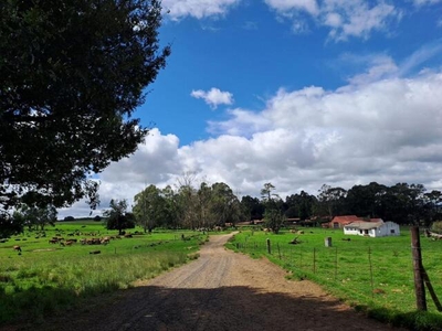 Farm For Sale In Dullstroom, Mpumalanga