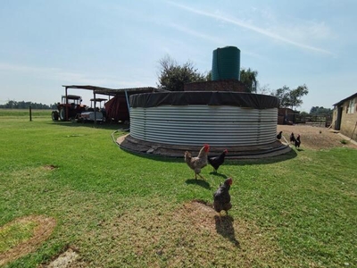 Farm For Sale In Risiville, Vereeniging