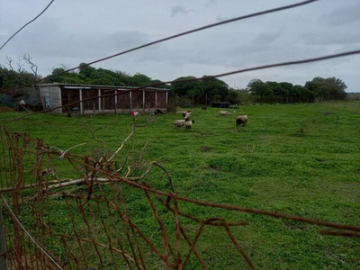 Farm For Sale In Strandfontein, Western Cape