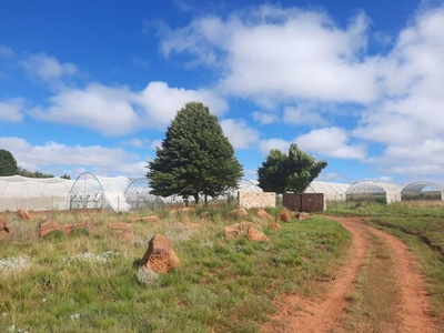 Farm For Sale In Dullstroom, Mpumalanga