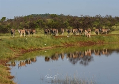 2006 m² Land available in Lekwena Wildlife Estate