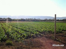 26 hectare plot for sale in hekpoort
