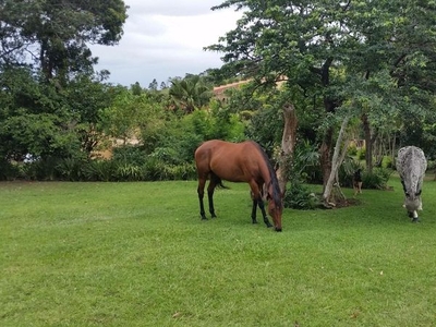 Equestrian Paradise family home on the South Coast of South Africae - 5 minutes to the beach