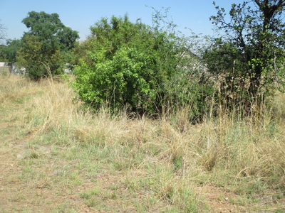 Vacant Land For Sale in Sable Hills