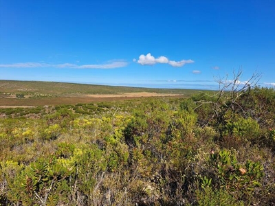 Farm For Sale In Albertinia, Western Cape