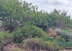 748m² Vacant Land For Sale in Paradise Beach