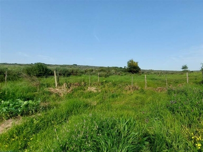 884 m² Land available in Darling