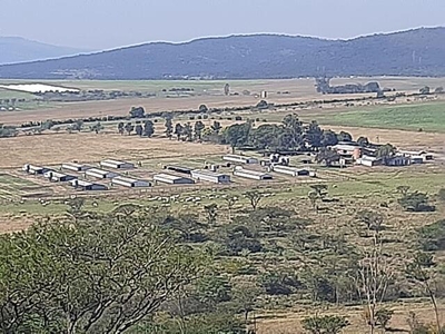 Farm For Sale In Albert Falls, Pietermaritzburg