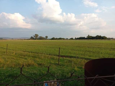 Farm For Sale In Vyfhoek, Potchefstroom