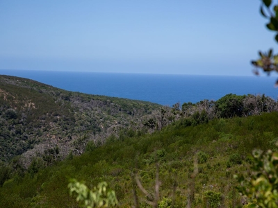 4,032m² Vacant Land Sold in Pezula Private Estate