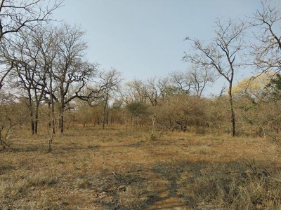 Lot For Sale In Marloth Park, Mpumalanga