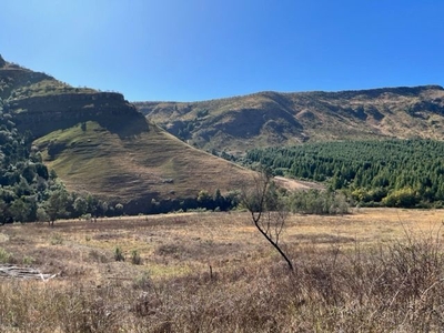 402Ha Farm For Sale in Underberg Rural