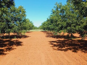 74.3 ha Farm in Jan Kempdorp