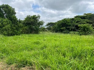 1 659 m² Land available in Mtunzini