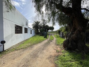 3.1 ha Farm in Kruisrivier