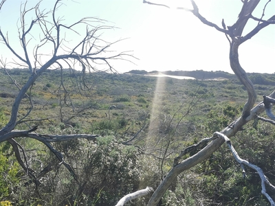 Vacant Land For Sale in St Francis Bay Rural