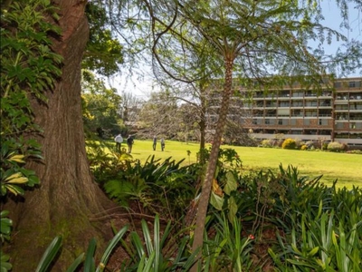 2 Bedroom apartment rented in Newlands, Cape Town