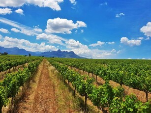 235 ha Farm in Stellenbosch Agricultural