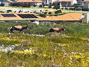 487 m² Land available in Langebaan Country Estate