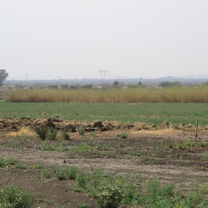 Vacant Irrigation Land