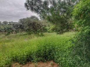 1 ha Land available in Wilkoppies