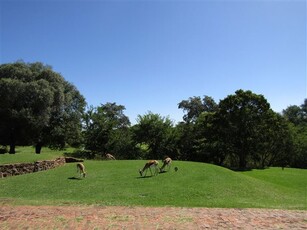 1 013 m² Land available in Seasons Lifestyle Estate