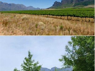 131 ha Farm in Stellenbosch Central