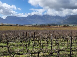 17.5 ha Farm in Wellington Central