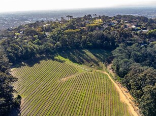2 ha Land available in Constantia