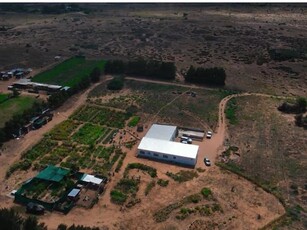 2.5 ha Farm in Vredenburg